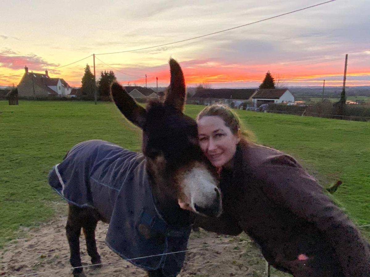 Rew Farm Country & Equestrian Accommodation - Sunrise Lodge Melksham Exteriér fotografie