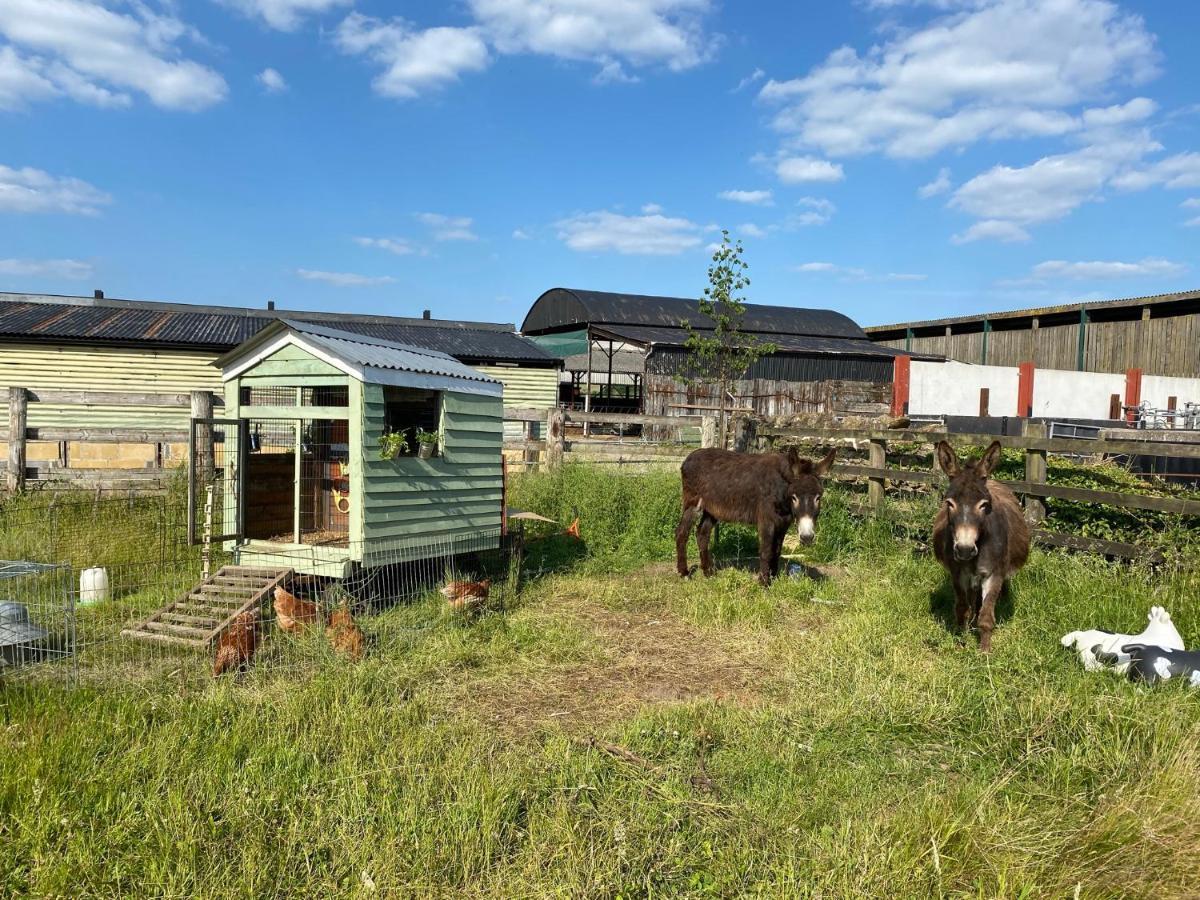 Rew Farm Country & Equestrian Accommodation - Sunrise Lodge Melksham Exteriér fotografie