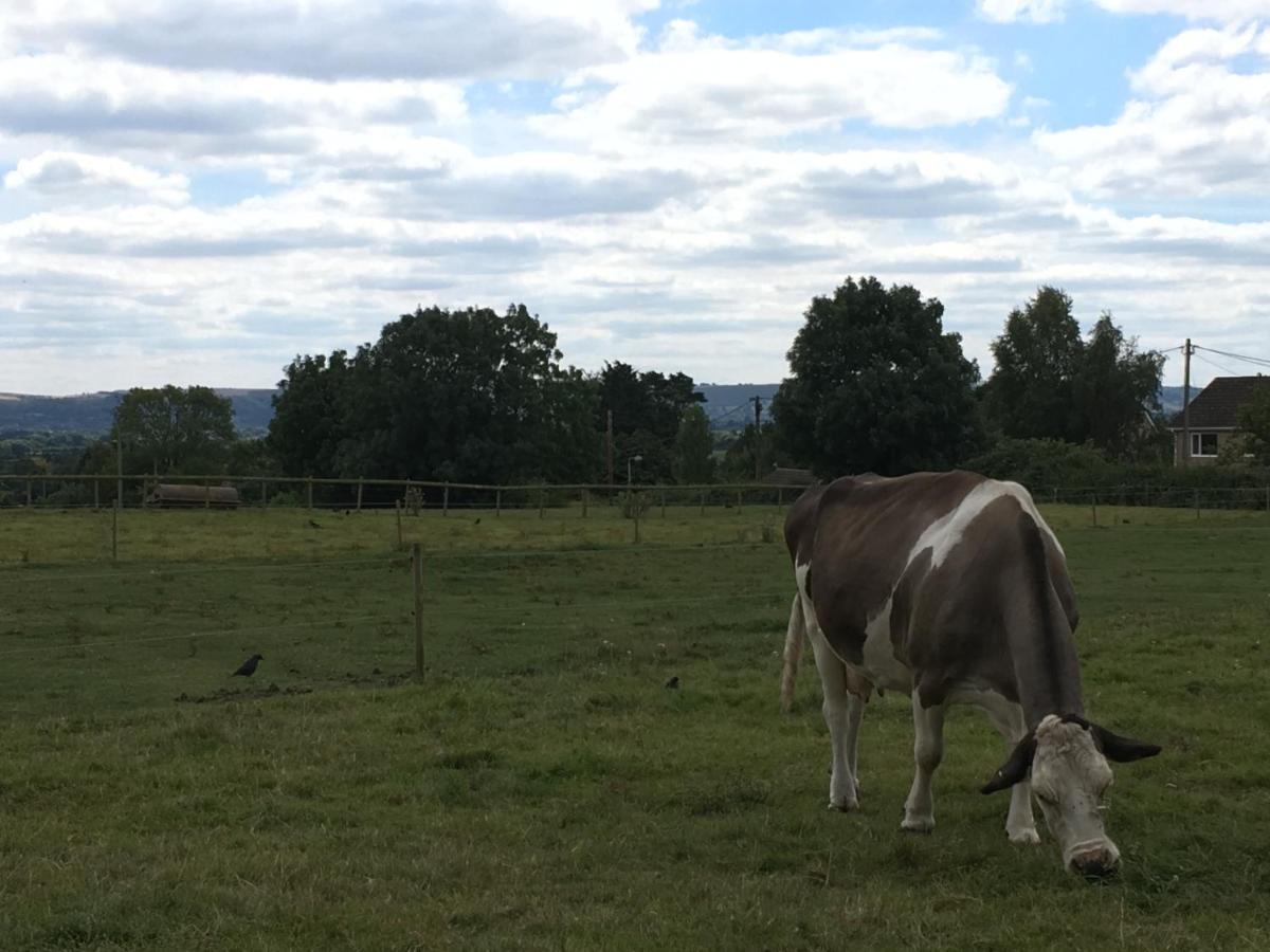 Rew Farm Country & Equestrian Accommodation - Sunrise Lodge Melksham Exteriér fotografie