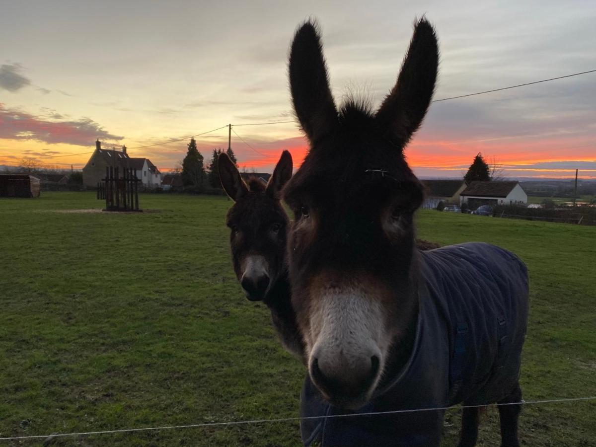 Rew Farm Country & Equestrian Accommodation - Sunrise Lodge Melksham Exteriér fotografie