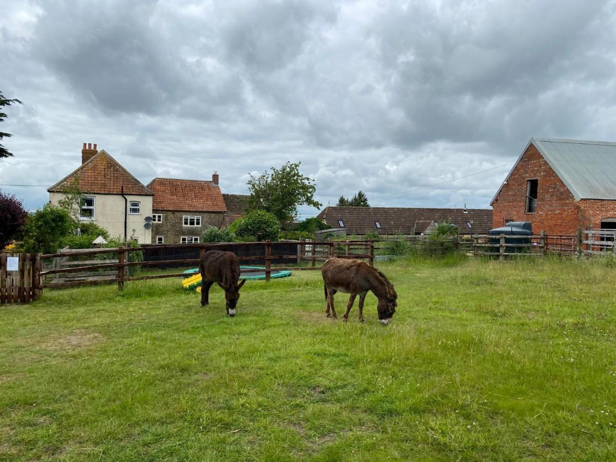 Rew Farm Country & Equestrian Accommodation - Sunrise Lodge Melksham Exteriér fotografie