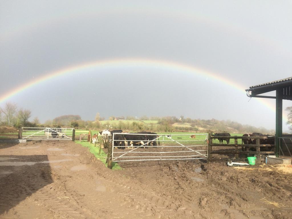 Rew Farm Country & Equestrian Accommodation - Sunrise Lodge Melksham Exteriér fotografie