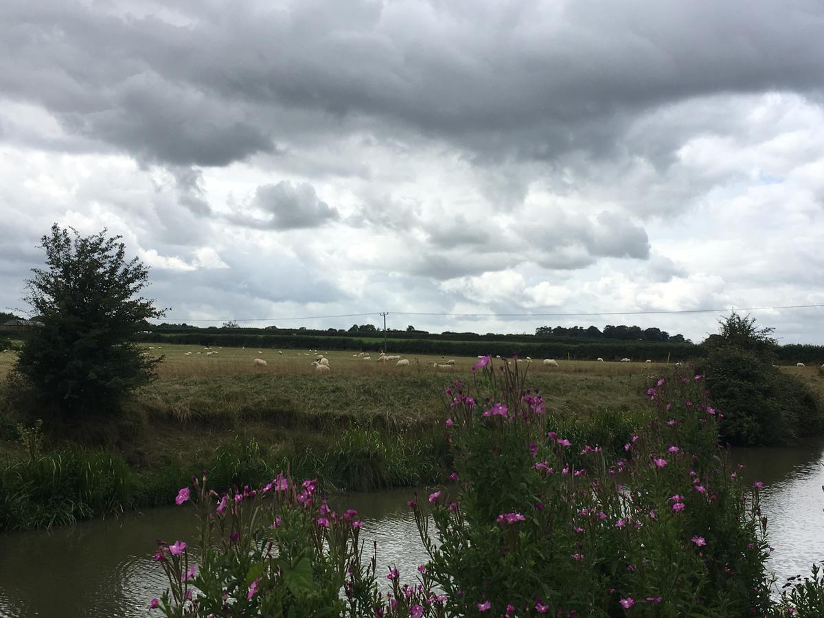 Rew Farm Country & Equestrian Accommodation - Sunrise Lodge Melksham Exteriér fotografie